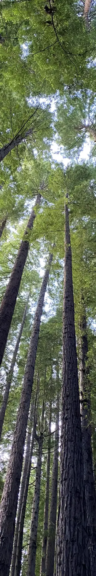 Great-Otway-Nationalpark